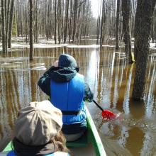 The flood "fifth" season in Soomaa NP. You can canoe in the woods.