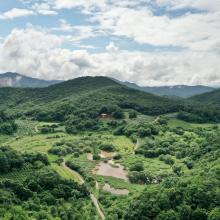 Mungyeong Doline Wetland formed in a doline area, which is rare for wetlands