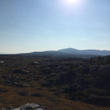 Havmyran