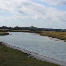 Dungeness and Rye Bay Ramsar Site: River Rother intertidal habitats