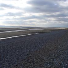 Dungeness and Rye Bay Ramsar Site: Rye Bay intertidal sand and mud