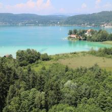 Wet forest, fen, Lake Wörthersee - aerial picture Wet forest, fen, Lake Wörthersee - aerial picture