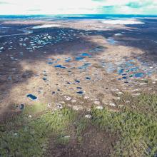 Raised bog, winter Raised bog, winter