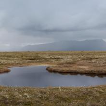 Small pond in the eastern (mire) part of the reserve.