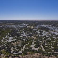 Caryapundy Swamp