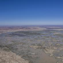 Caryapundy Swamp