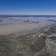 Caryapundy Swamp