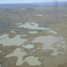 Many lakes have silted water.
