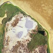 Vu aérienne du parc Vu aérienne du parc