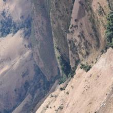 Patches of Afromontane Forest