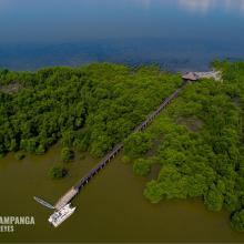 Mangrove Forest within the SPCW