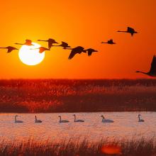 Flying toward a better tomorrow Flying toward a better tomorrow