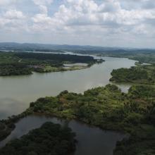 Wetland landscape